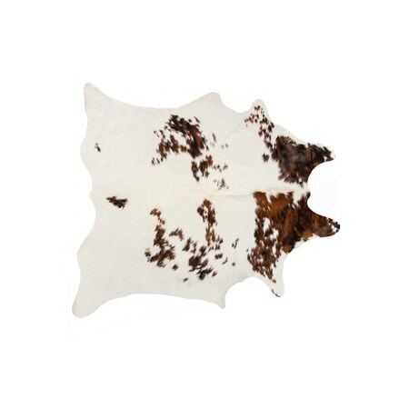 Palacedesigns 0.25 x 6 x 7 in. Kobe Exotic Cowhide Rug  Tricolor PA3102404